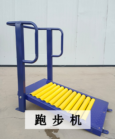 trainer-img